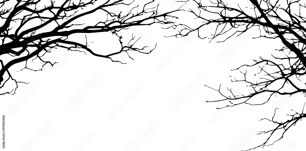 Fototapeta premium Silhouetted black tree branches against a winter sky, perfect for a nature illustration