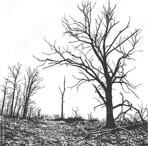 Snowy winter tree silhouette with bare branches against a cold sky, perfect for a nature landscape illustration