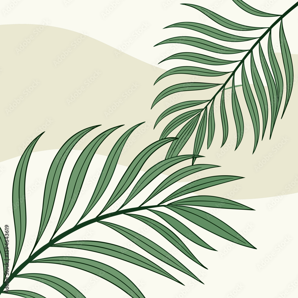 Obraz premium palm tree leaves vector