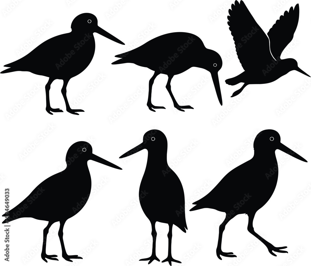 Obraz premium oystercatcher silhouette, bird silhouette, coastal bird vector, seabird silhouette, oystercatcher black icon, shorebird silhouette, wading bird silhouette