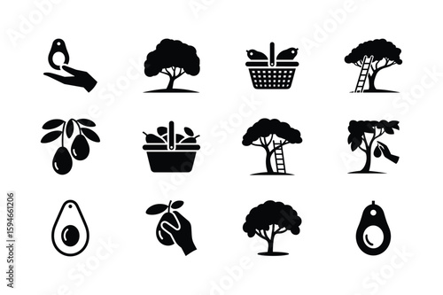 Avocado harvesting and tree icons fruit basket