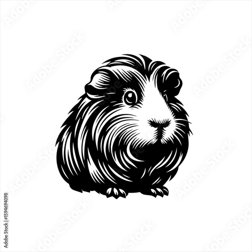 Vector art of a fluffy guinea pig portrait