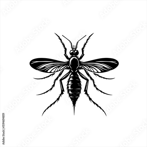 Vector art of mosquito insect with spread wings