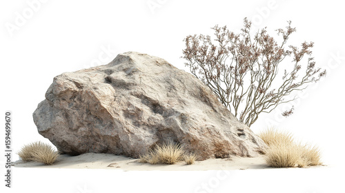 Large desert rock and dry shrub isolated on transparent background. PNG