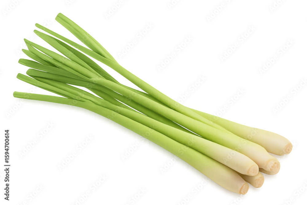 Fresh lemongrass stalks lying on a transparent background, ready to be used in various culinary applications Fresh lemongrass stalks lying on a transparent background, ready to be used in various culinary applications