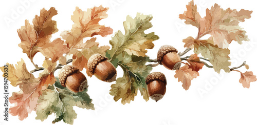 Watercolor Oak Leaves and Acorns Border Illustration for Autumnal Designs and Crafts