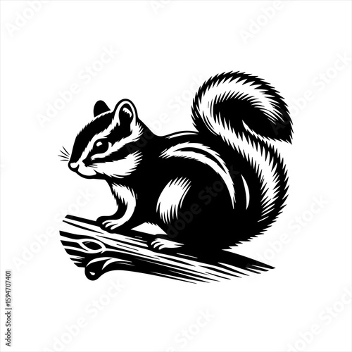 Vector art of chipmunk on a branch