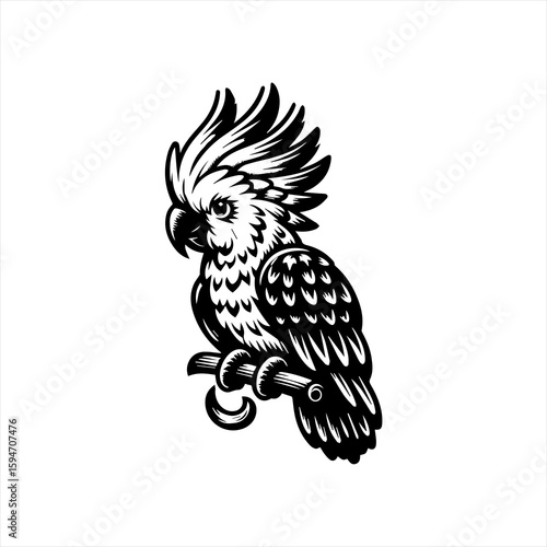 Vector art of cockatoo bird isolated on white background