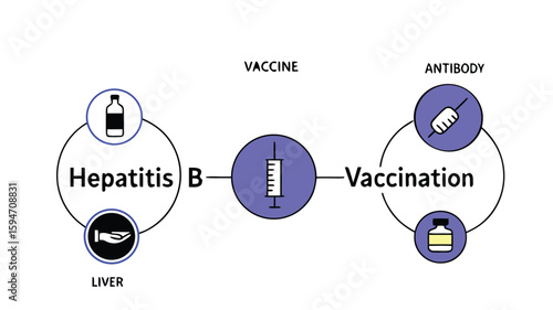 Hepatitis B vaccination concept with syringe, vaccine bottle, and liver diagram

