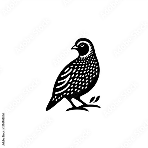 Vector art of a quail bird perched on a branch