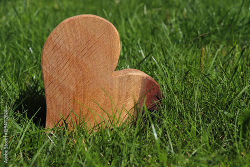 Holzherz im Gras