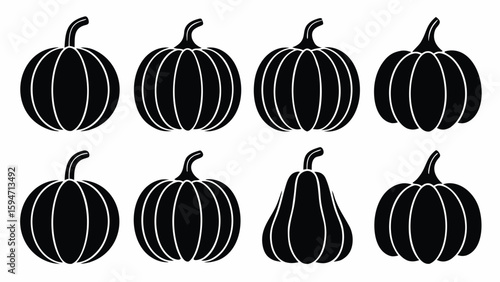 Eight black pumpkins on white background gourd squash