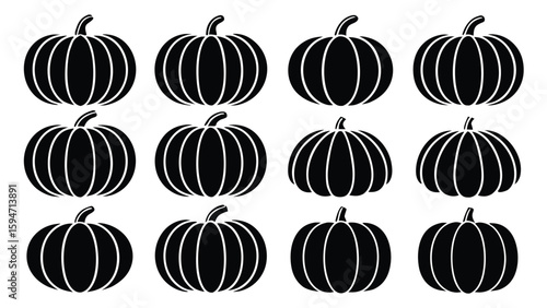 Twelve black pumpkins with white outlines gourds harvest