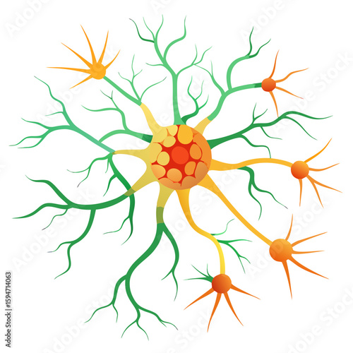 Colorful neuron with axon and dendrites representing neural activity on a white background