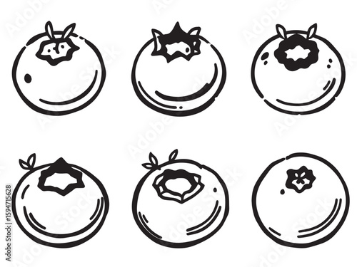 blueberry outline food illustration