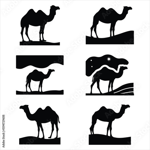 Camel Silhouette