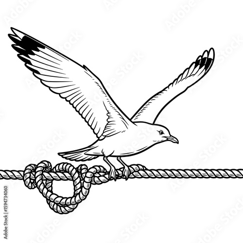 Seagull taking flight from a knotted rope, symbolizing freedom and the ocean