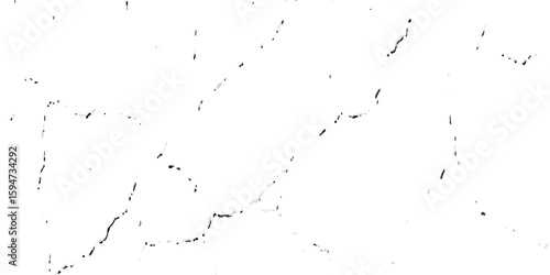 A close-up, high-contrast, black and white photograph showcasing a network of fine, intricate cracks on a textured surface, resembling dry earth or aged paint.