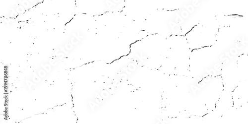 A close-up, high-contrast, black and white photograph showcasing a network of fine, intricate cracks on a textured surface, resembling dry earth or aged paint.