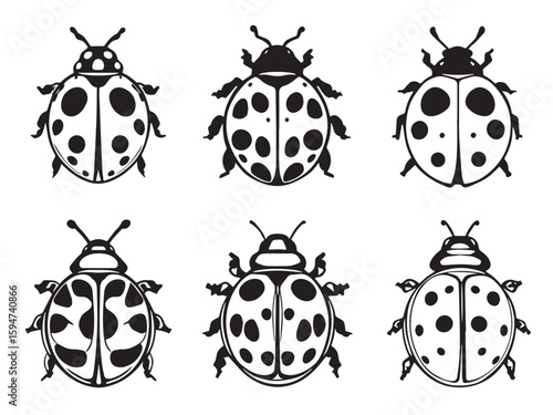 Minimalist ladybug insect line drawing