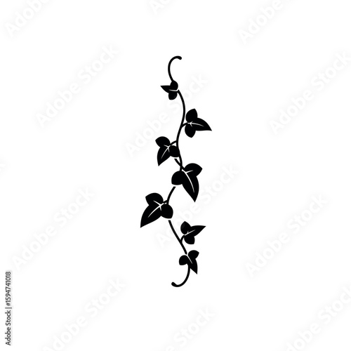 Black Ivy Vine Silhouette Illustration