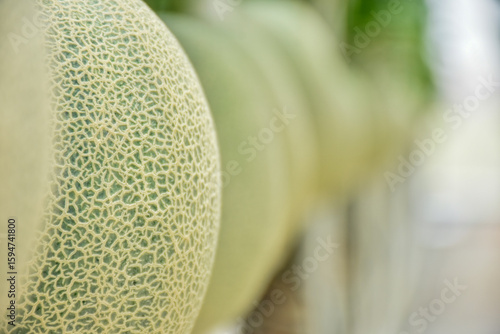 close up of melon