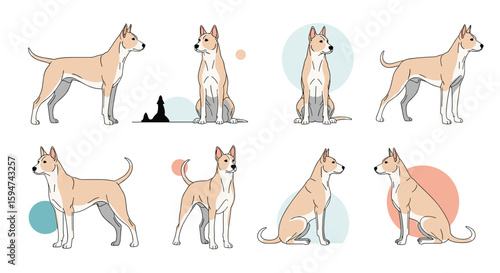 Diverse poses of a light brown and white colored dog with geometric shapes as background elements
