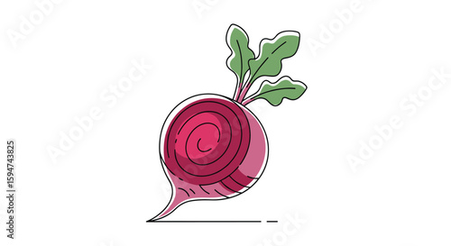Vibrant red beetroot vegetable healthy root food grown in rich soil for nutritious eating