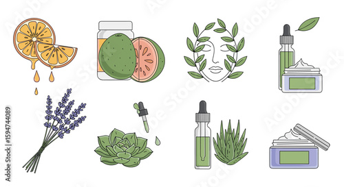 Natural botanical skincare products featuring essential oils fruits and flowers for healthy radiant complexions