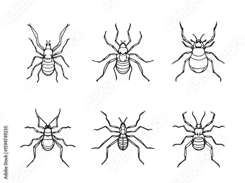 mite simple line art clear vision