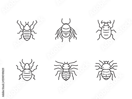 mite minimal line illustration