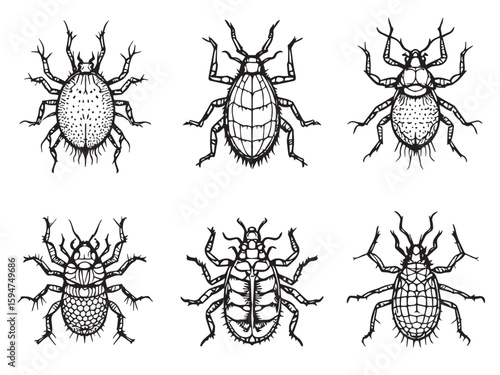 mite outline drawing clear style