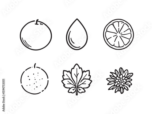 Citrus orange minimal line design