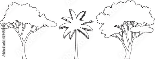 Black and White Line Drawing Set of Three Trees Side View Two Deciduous Trees and One Palm Tree Simple Silhouette Illustration
