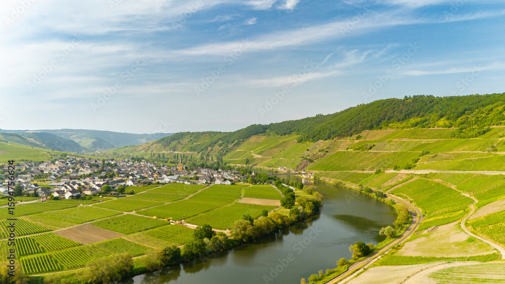 Fototapeta premium Trittenheim, Moselle Valley with loop of river, aerial view, riesling wine growing on vine, vineyard landscape and agriculture in Germany