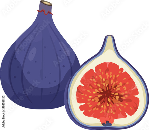 Fresh ripe fig fruit whole and halved vector illustration