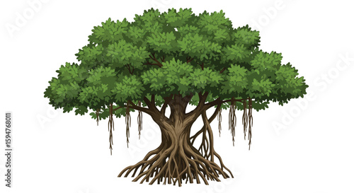 Large Tree with Lush Green Foliage and Roots