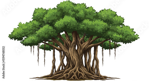 Large Tree with Lush Green Foliage and Roots