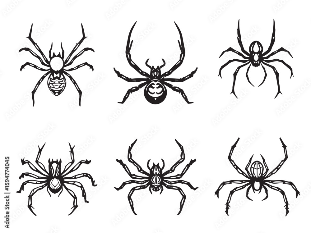 Obraz premium Spider line art graphic collection