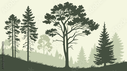 Detailed green forest silhouette vector illustration featuring diverse pine and broadleaf trees on rolling hills, a serene natural woodland landscape design background art.
