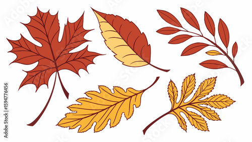 Vibrant autumn leaves vector illustration set featuring red maple, yellow oak, and various fall foliage types. Perfect for seasonal nature designs and harvest themes.