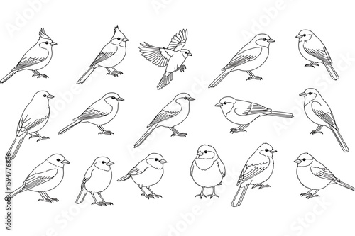Delineated birds collection ideal for ornithology studies, educational materials, or seamless patterns, showcasing diverse species in a minimalistic, scalable graphic format.