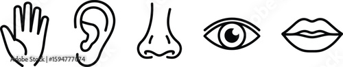 Five Senses Line Icons Hand, Ear, Nose, Eye, Lips on Transparent Background