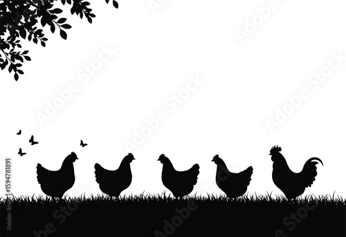 Silhouette of chickens and rooster in grass field, butterflies flying, tree leaves above, farm animal scene, countryside vector illustration.