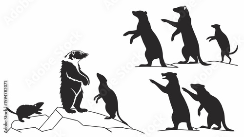 Black and white silhouette illustration of badgers and weasels standing on hind legs on rocky terrain, interacting in groups, showing animal behavior.