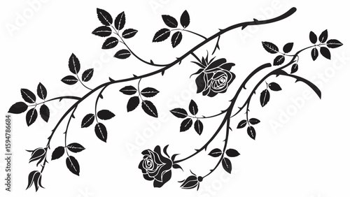 Elegant black and white rose vine silhouette vector artwork with blooming roses, thorny branches, and detailed leaves, perfect for decorative floral designs.