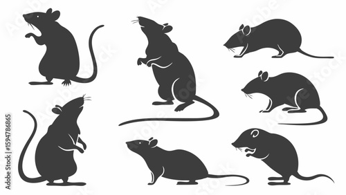 Highly detailed black rat silhouettes vector set. Collection of various rodent poses including standing, sitting, gnawing, and running. Animal icons.