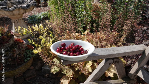 Kirschen aus dem Garten
