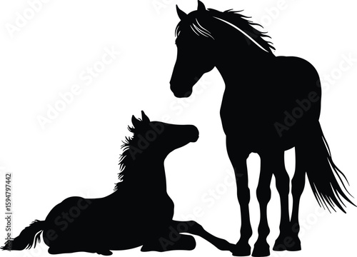 Silhouette of standing horse and foal lying down, mother and baby horse illustration, farm animal love, equine vector scene