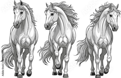 Three Majestic Horses with Smooth Fur in High Quality Vector Art